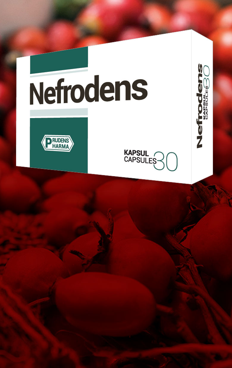 nefrodens001